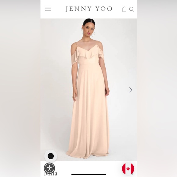 Jenny Yoo Dresses & Skirts - NWT Jenny Yoo Mila Dress - blush, chiffon flowy dress